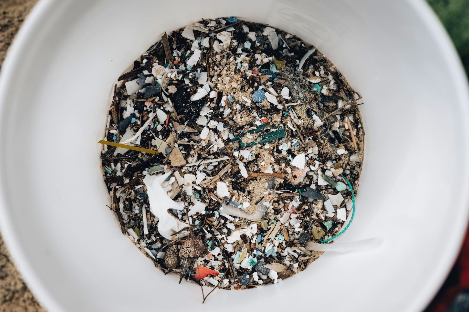 Microplastic fragments collected in a white dish